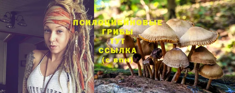 Псилоцибиновые грибы Cubensis  ссылка на мегу рабочий сайт  shop состав  Зеленокумск 